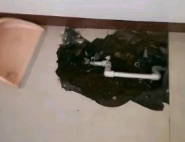广丰卫生间测漏水多少钱